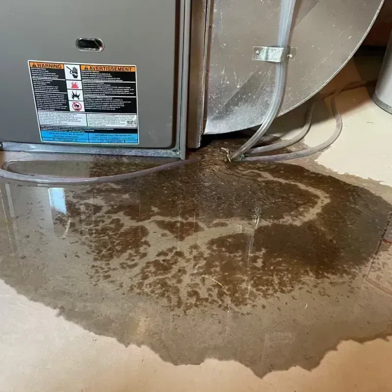 Appliance Leak Cleanup in Mehlville, MO